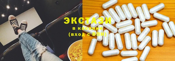 ECSTASY Ельня