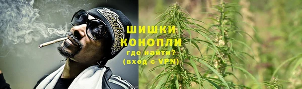 ECSTASY Ельня