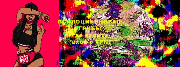 ПСИЛОЦИБИНОВЫЕ ГРИБЫ Зеленокумск
