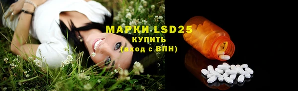 ECSTASY Ельня