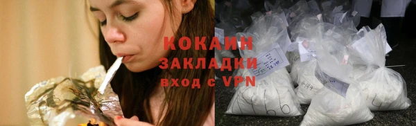 ECSTASY Ельня