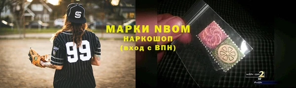 ECSTASY Ельня